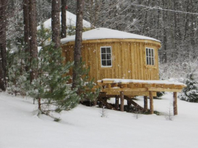 La Maison sous les arbres